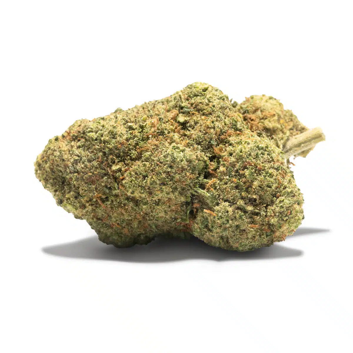 Flores CBD Ninja Fruit (Strawberry Kush x Watermelon)