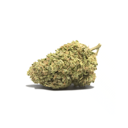 flores cbd em portugal